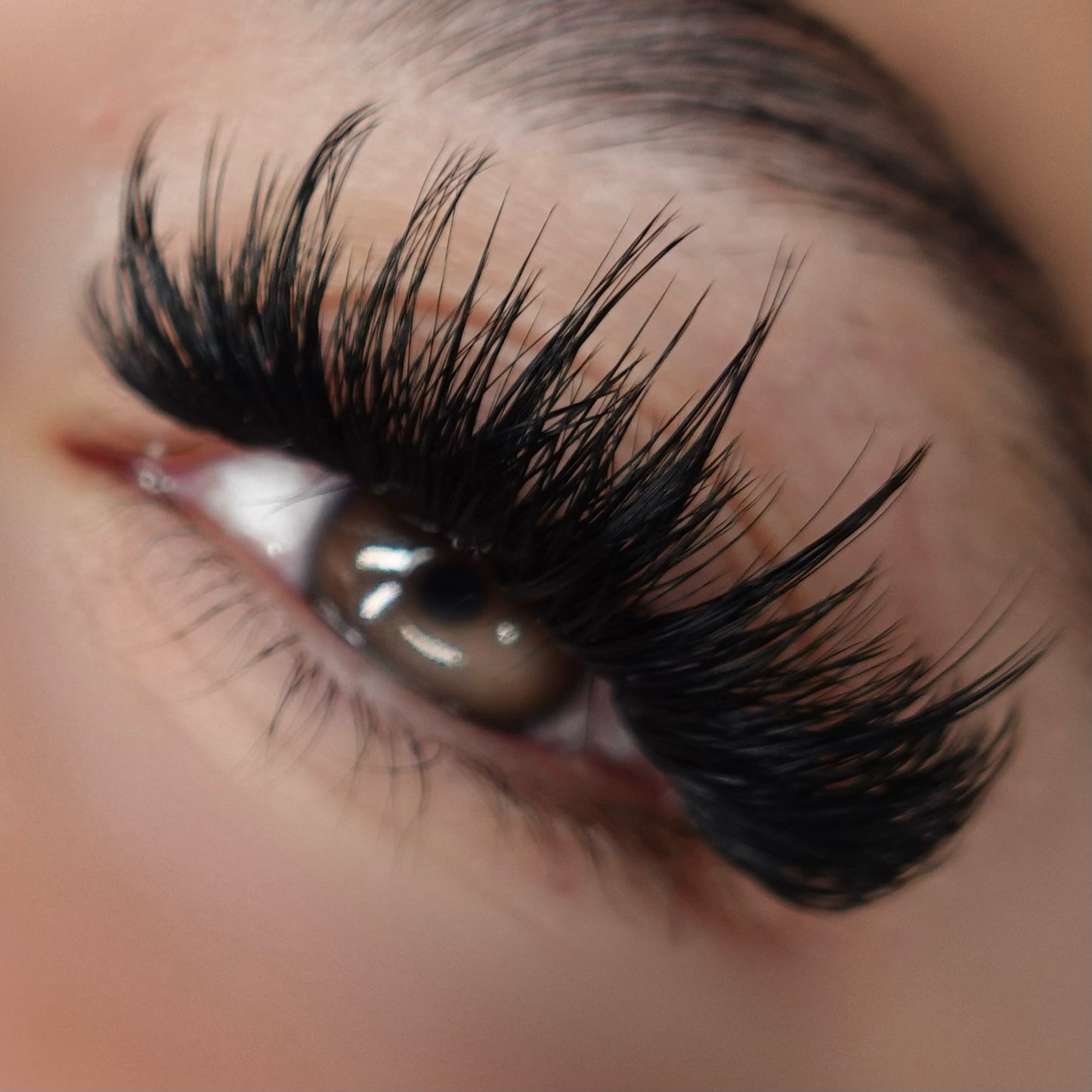 REFRESHER/ADVANCED LASH COURSE